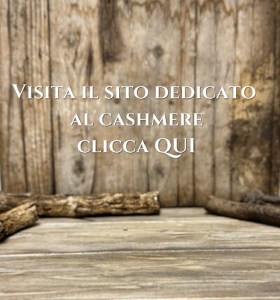 100% CASHMERE DELLE PIù GRANDI MARCHE ITALIANE, CARIAGGI, LORO PIANA, BIAGIOLI MODESTO, Todd & Duncan, Ricignolo 1928